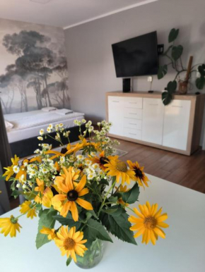 Apartament 25 Mikołajki, Mikolajki